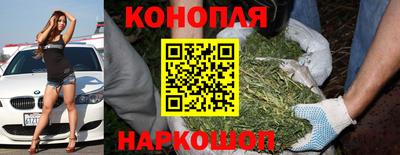 прущая мука Гусев