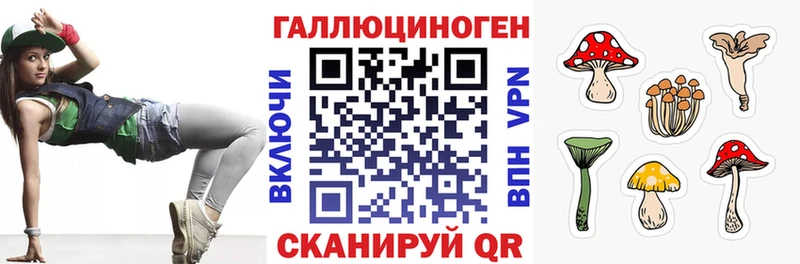 Псилоцибиновые грибы прущие грибы купить Пенза