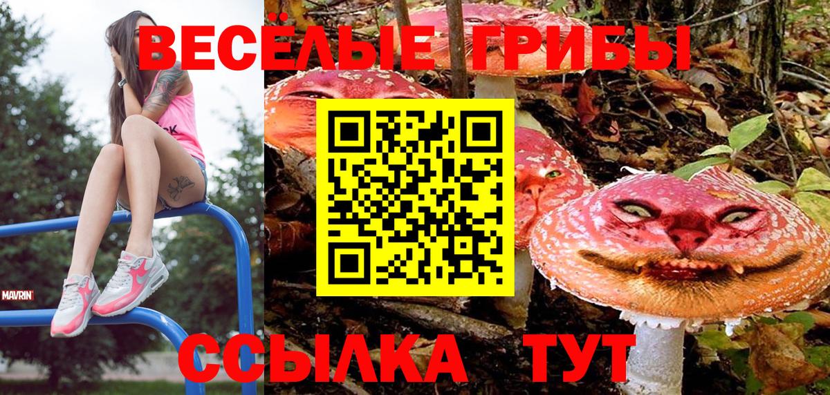 Псилоцибиновые грибы ЛСД Пенза