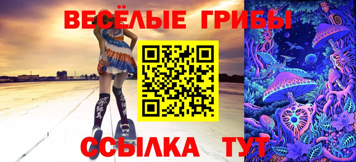 Псилоцибиновые грибы Cubensis  Вход с VPN  Пенза 